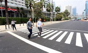 Zebra Cross Dengan Pelindung